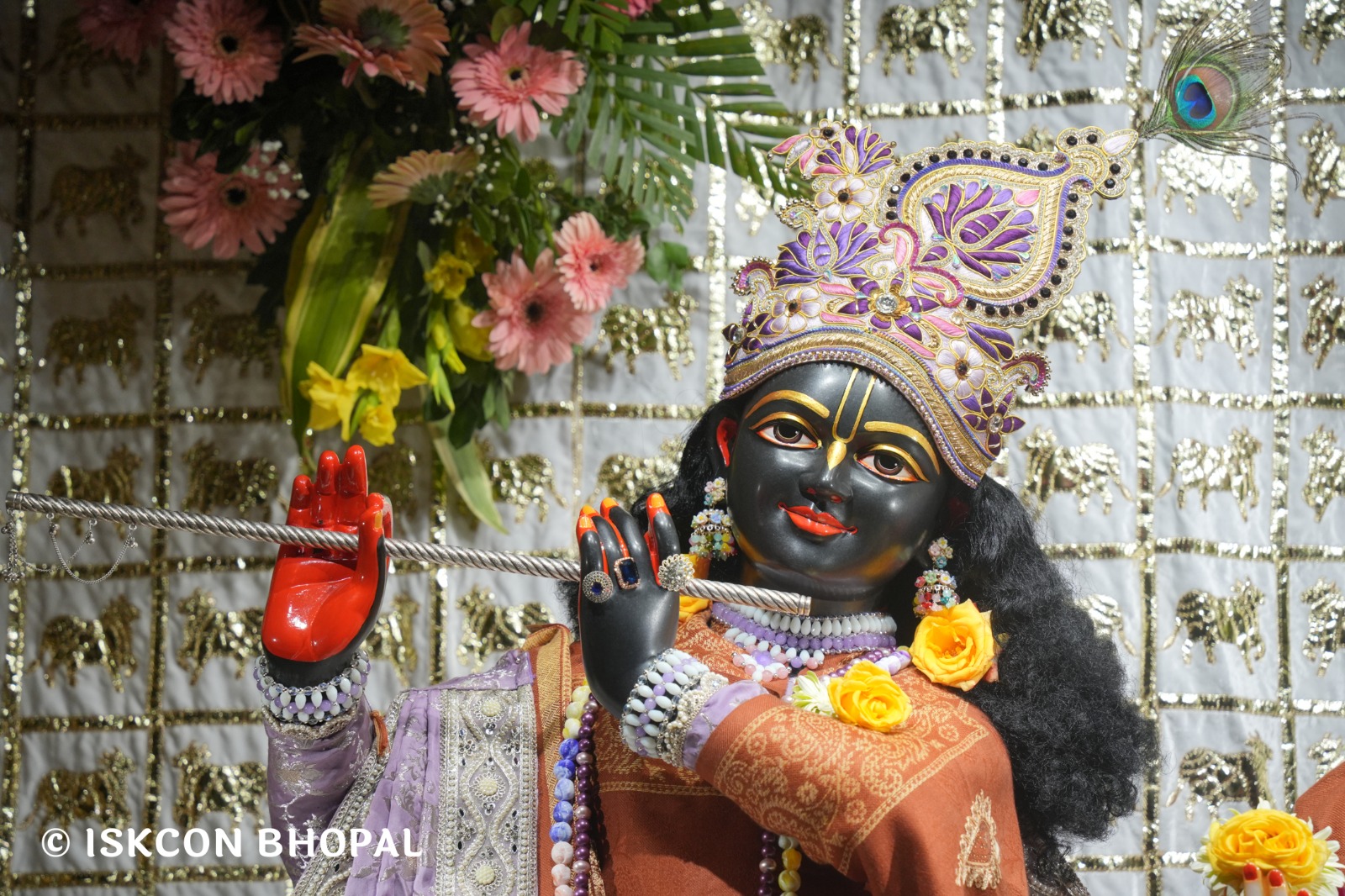 WhatsApp Image 2026-02-07 at 7.51.03 AM (3)