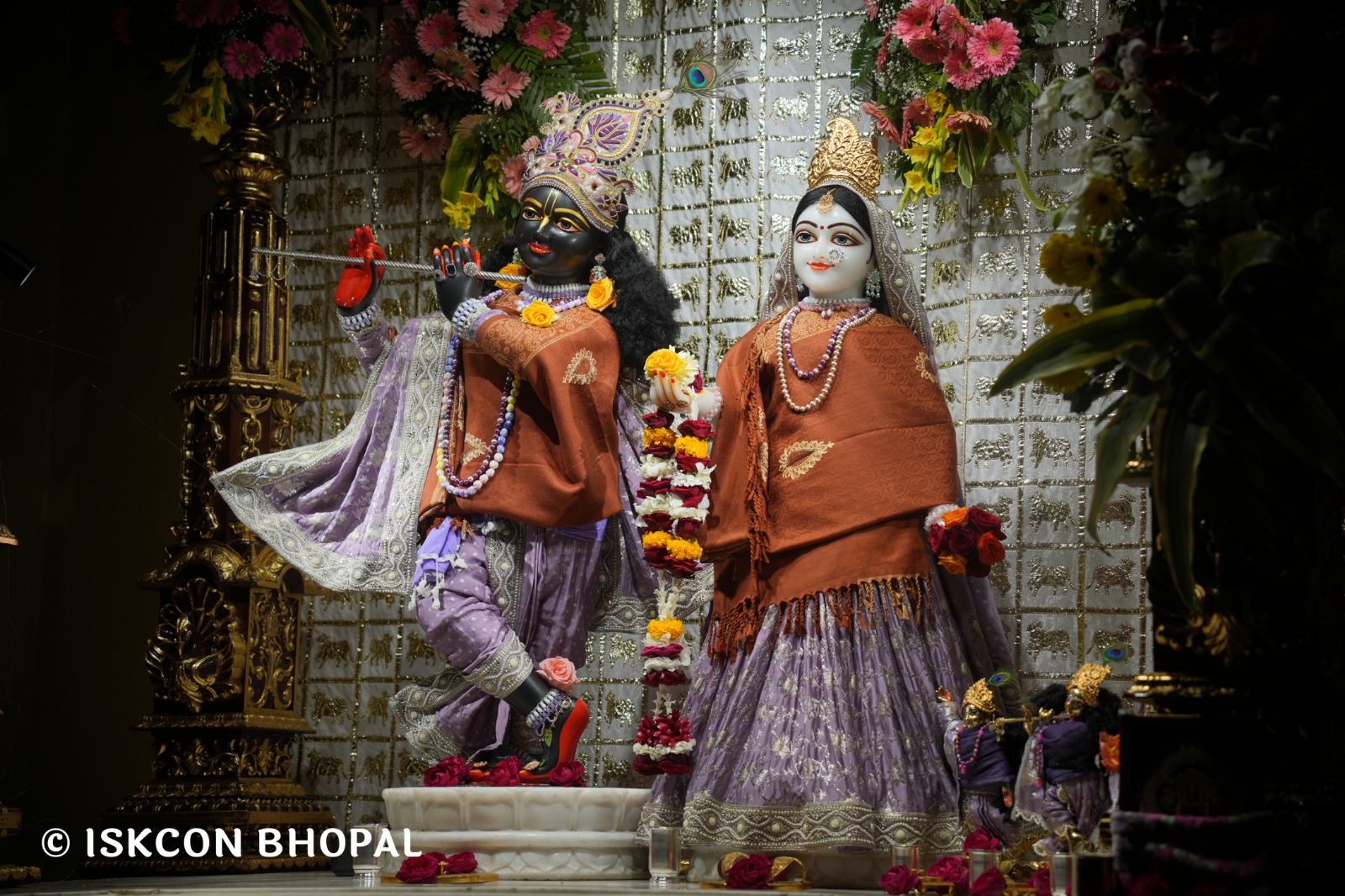 WhatsApp Image 2026-02-07 at 7.51.03 AM (4)