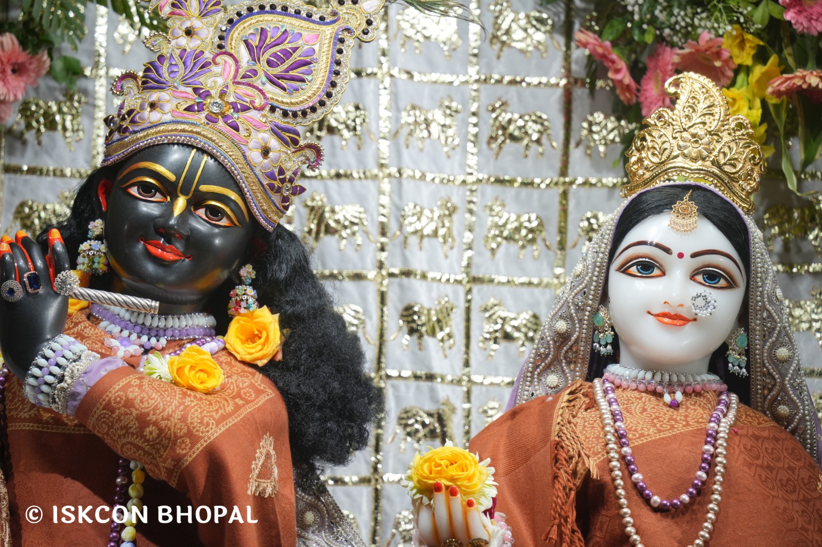 WhatsApp Image 2026-02-07 at 7.51.03 AM