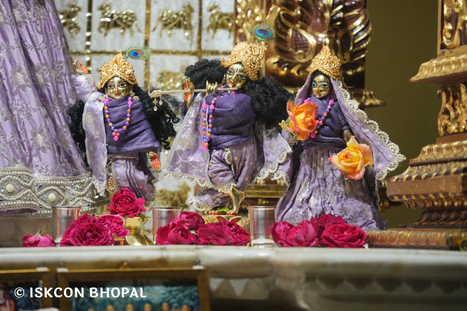 WhatsApp Image 2026-02-07 at 7.51.05 AM (1)