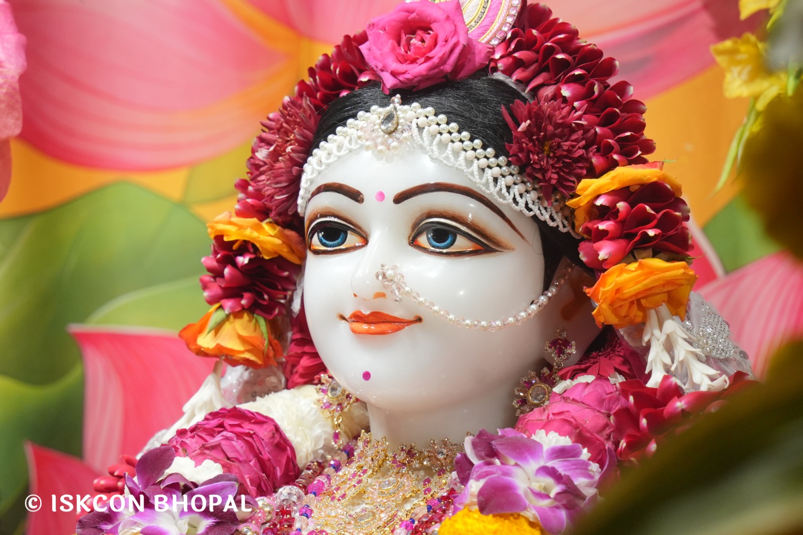 WhatsApp Image 2026-02-07 at 7.55.39 AM (1)