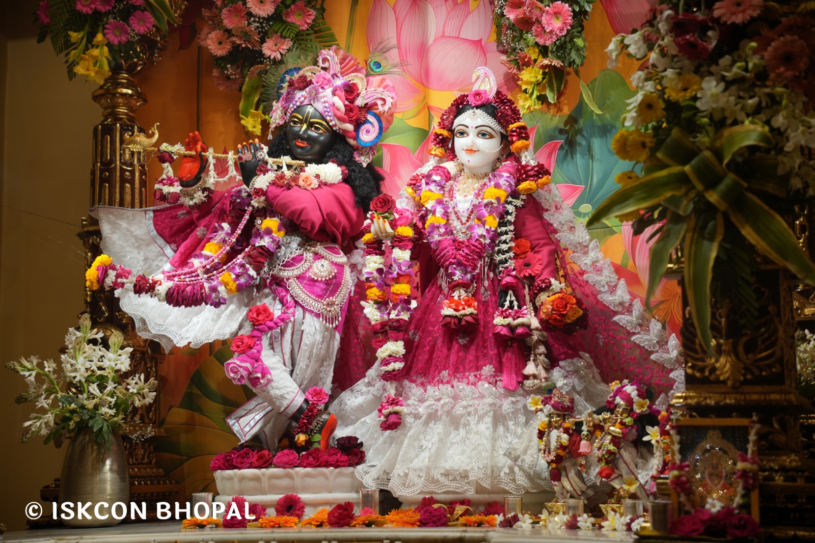 WhatsApp Image 2026-02-07 at 7.55.39 AM (2)