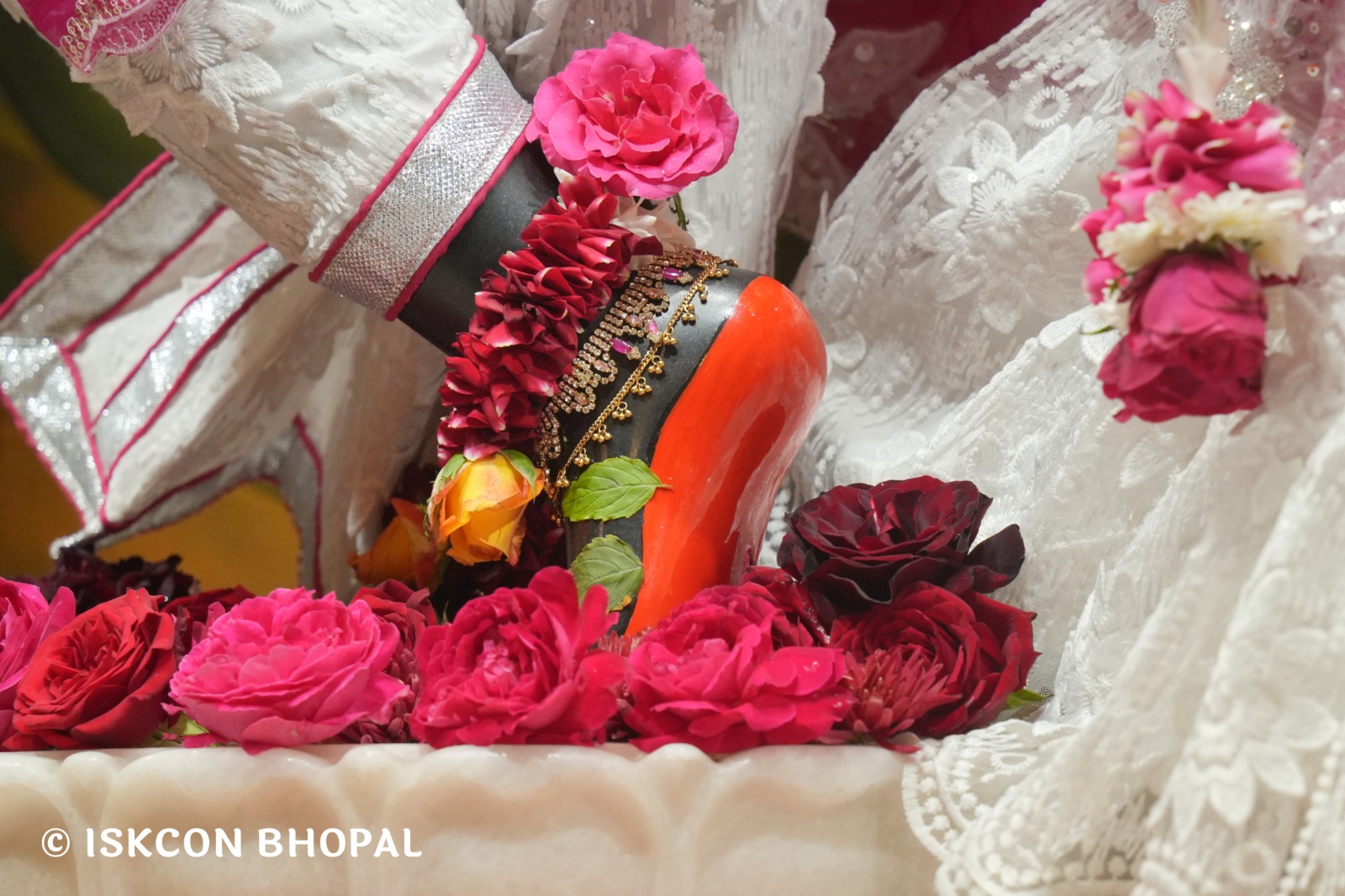 WhatsApp Image 2026-02-07 at 7.55.39 AM