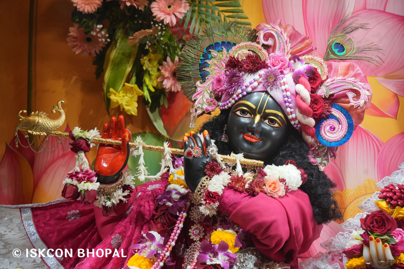 WhatsApp Image 2026-02-07 at 7.55.41 AM