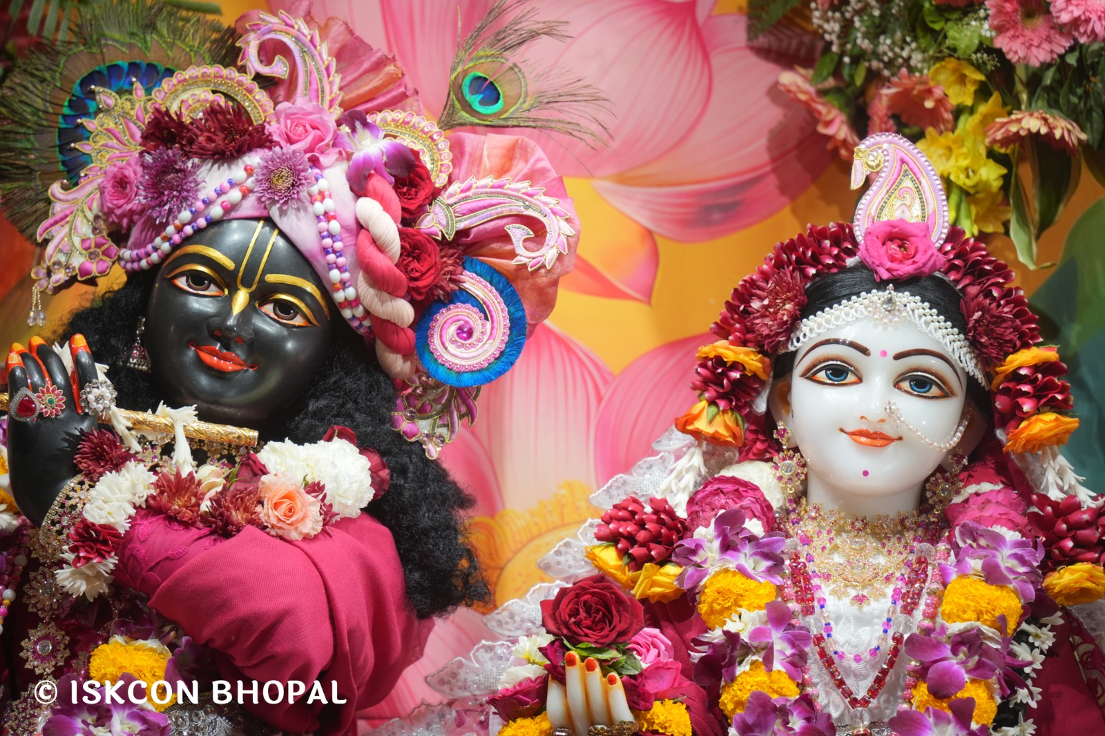 WhatsApp Image 2026-02-07 at 7.55.42 AM (1)