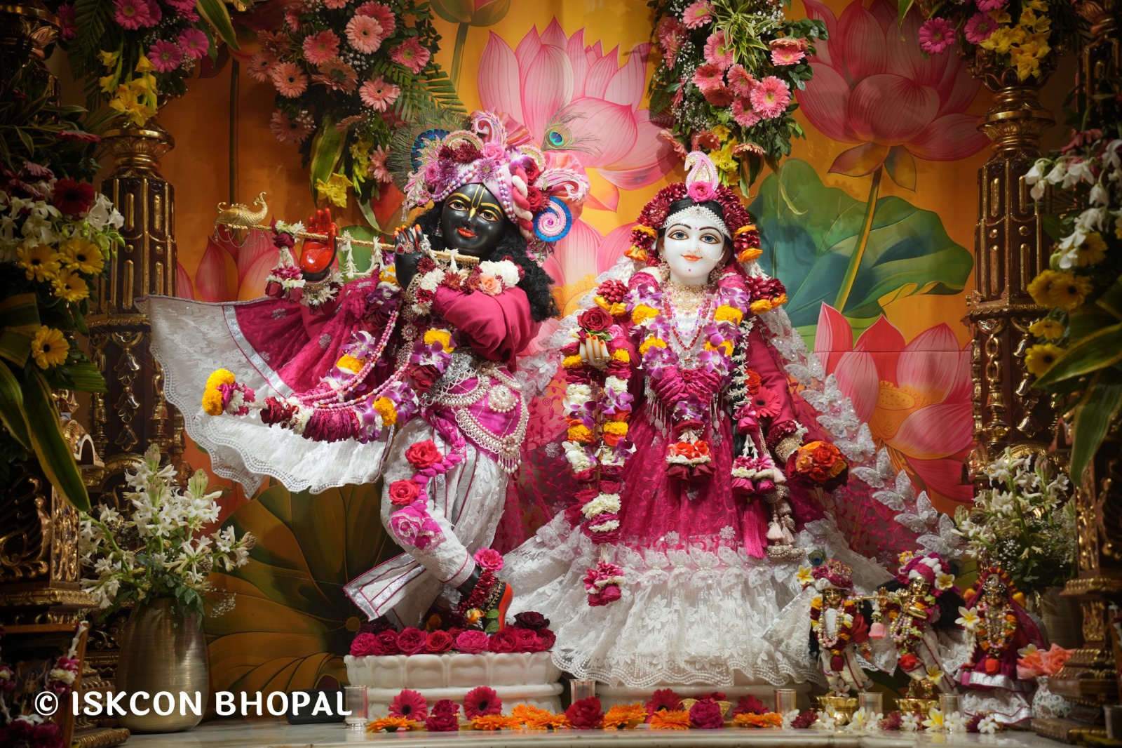 WhatsApp Image 2026-02-07 at 7.55.42 AM (2)