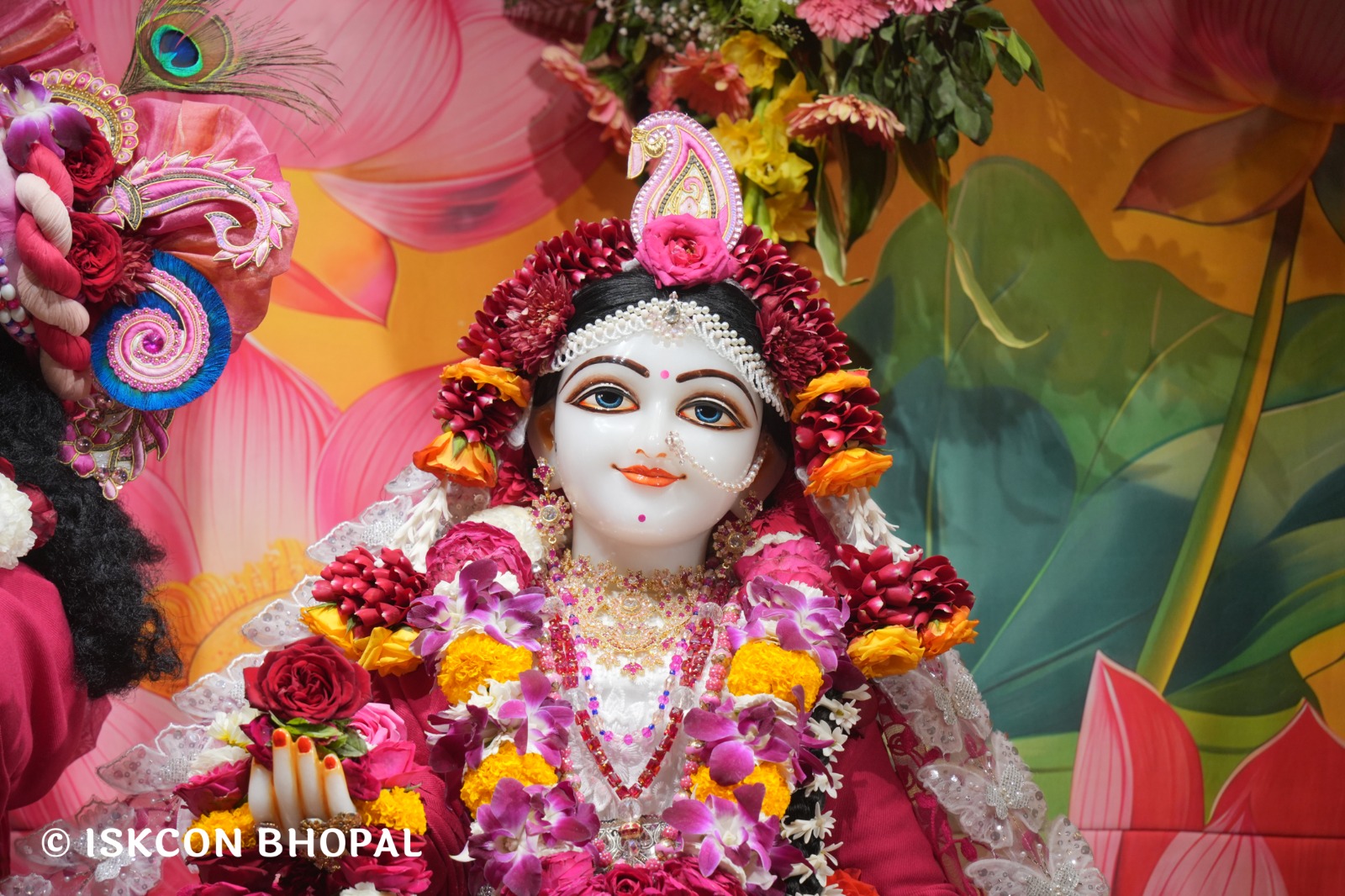 WhatsApp Image 2026-02-07 at 7.55.42 AM