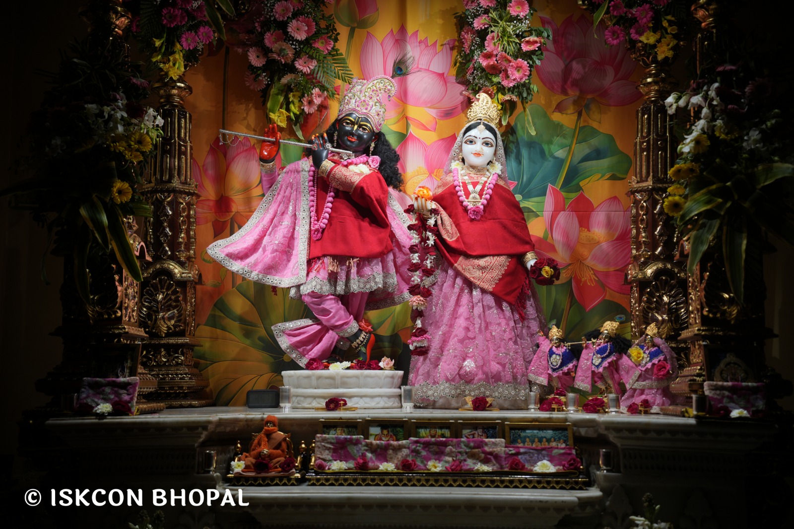 WhatsApp Image 2026-02-08 at 7.12.30 AM