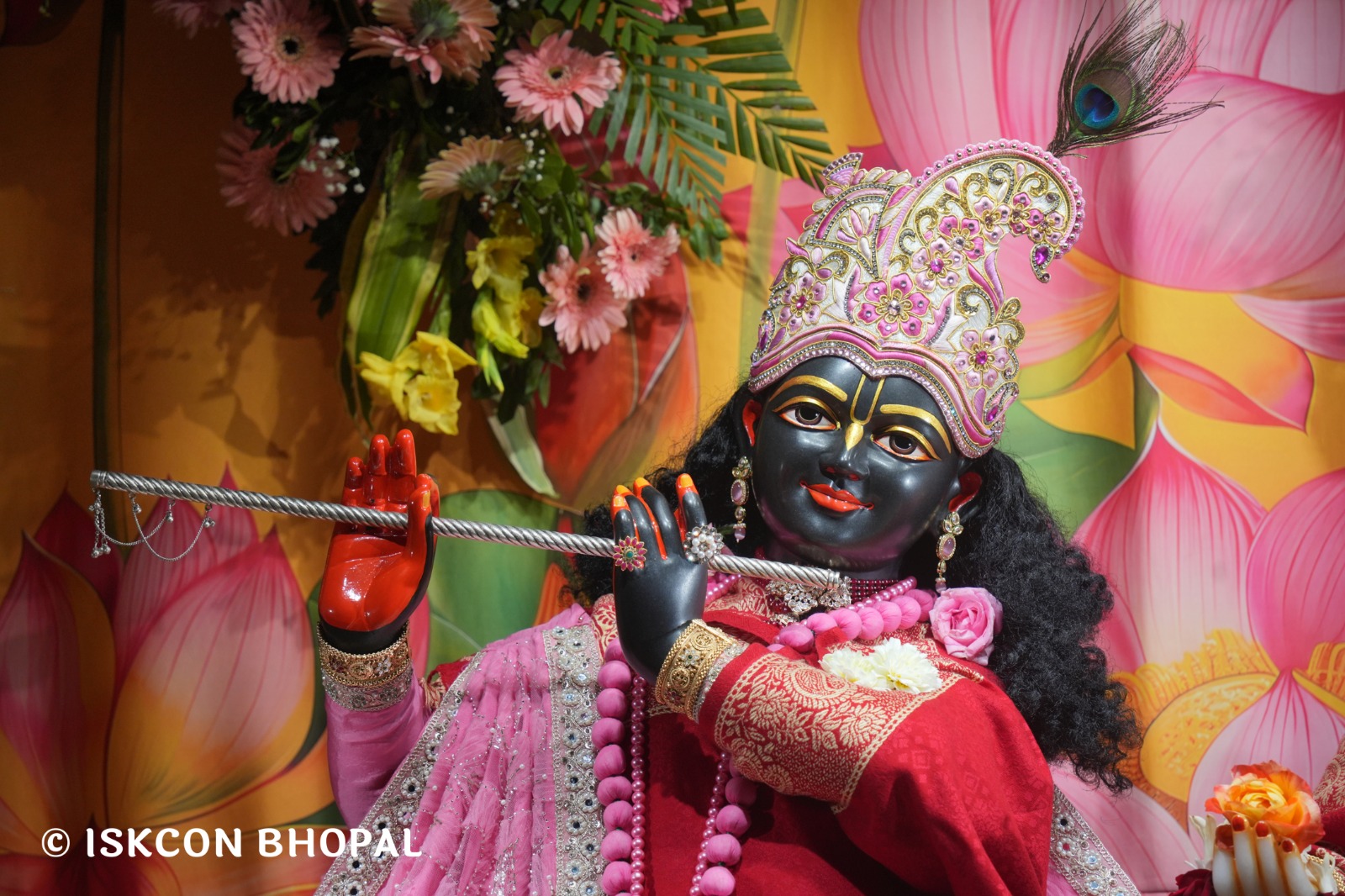 WhatsApp Image 2026-02-08 at 7.12.31 AM (1)