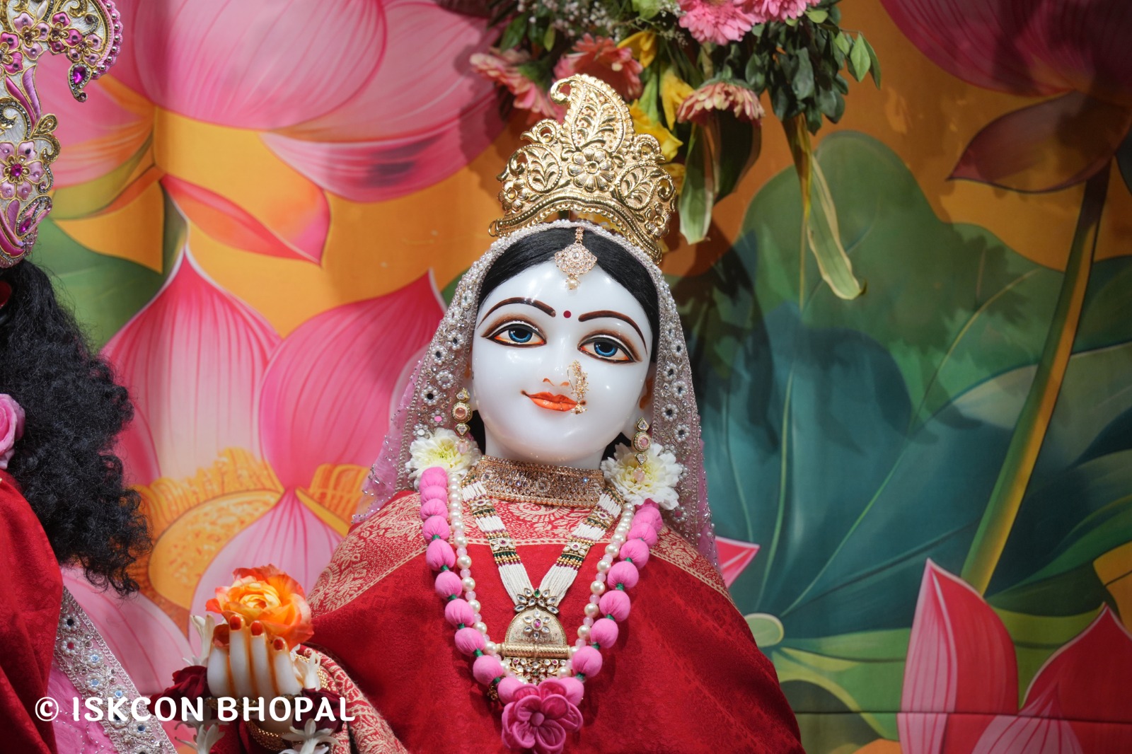 WhatsApp Image 2026-02-08 at 7.12.31 AM (2)