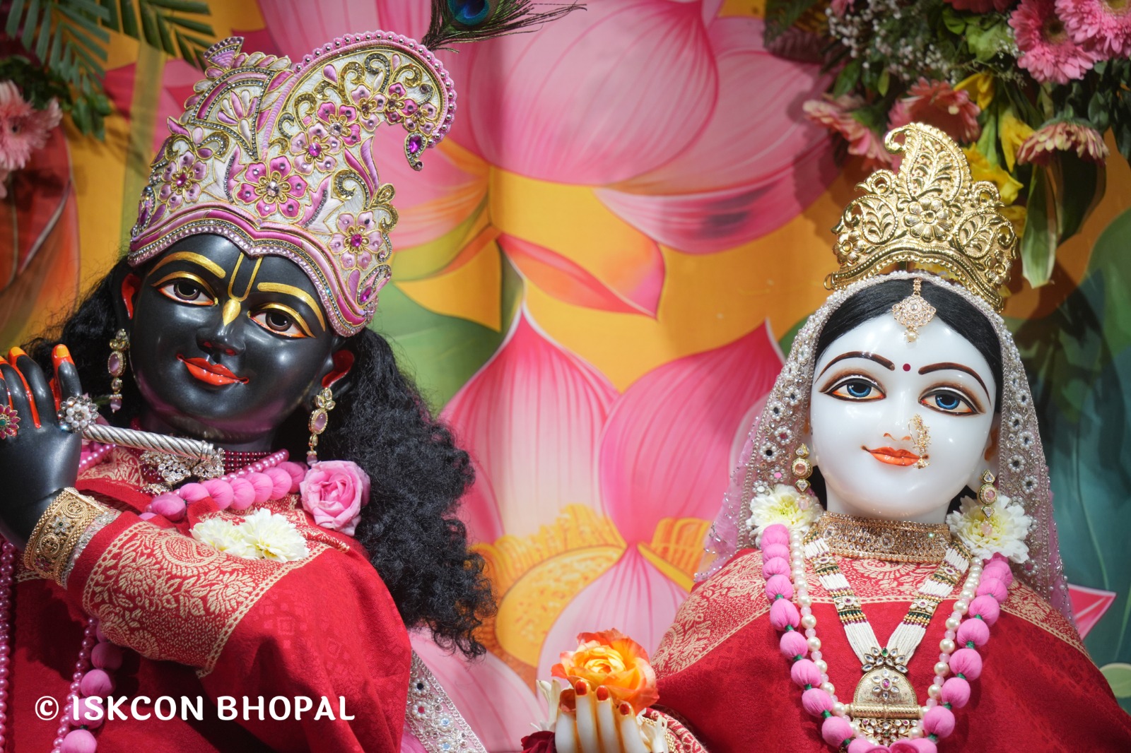 WhatsApp Image 2026-02-08 at 7.12.31 AM