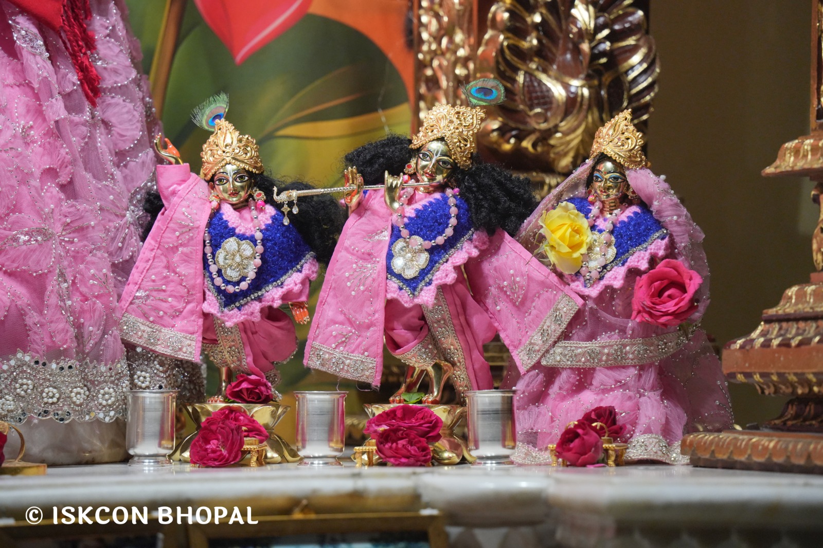 WhatsApp Image 2026-02-08 at 7.12.32 AM