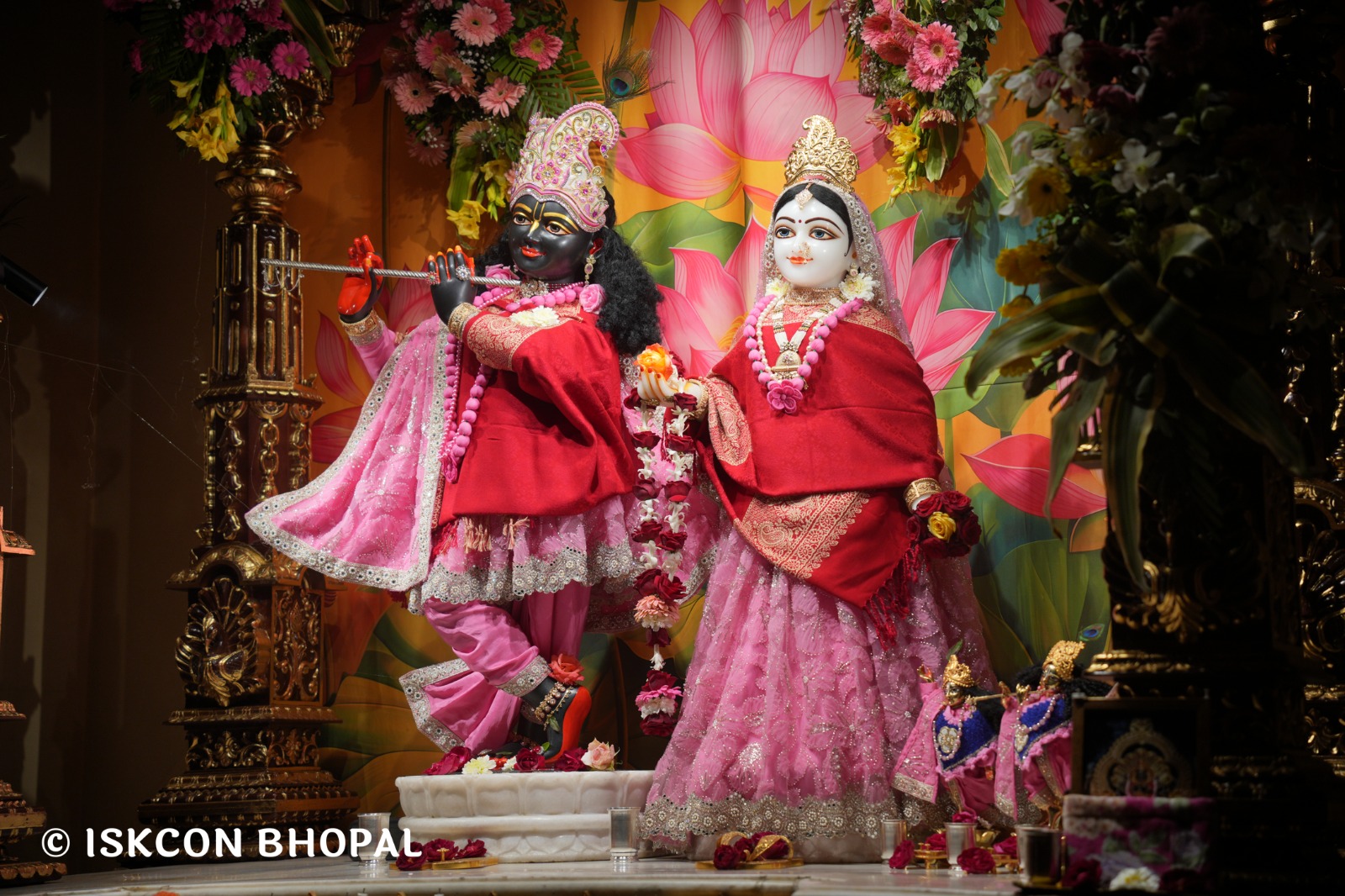 WhatsApp Image 2026-02-08 at 7.12.33 AM (1)