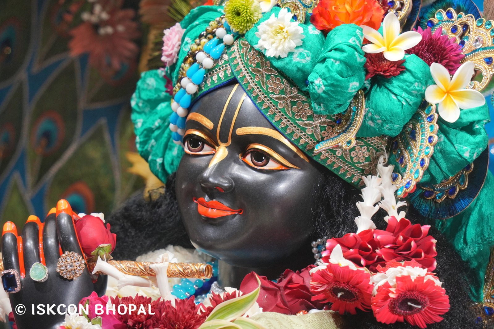 WhatsApp Image 2026-02-08 at 8.12.21 AM