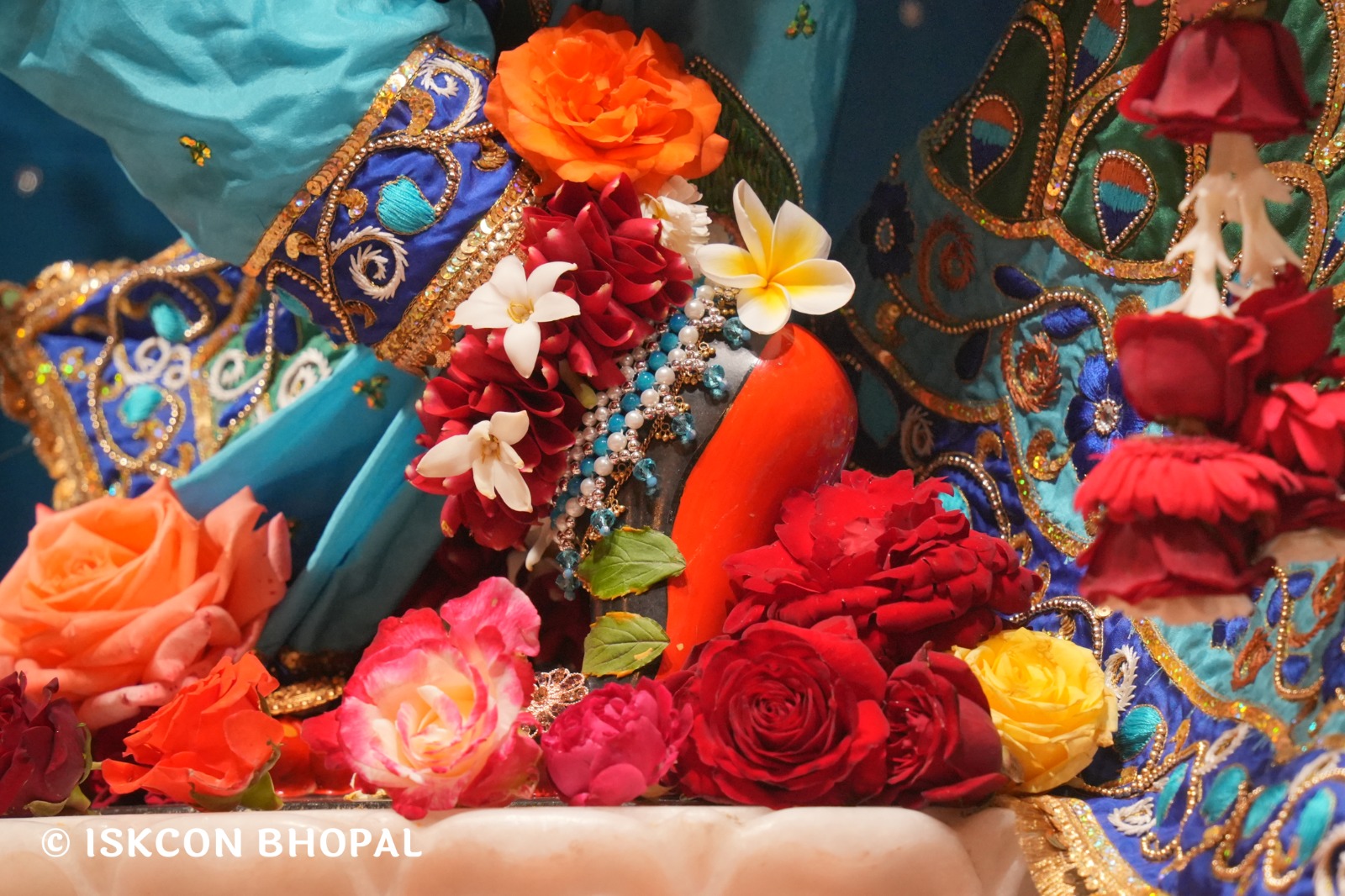 WhatsApp Image 2026-02-08 at 8.12.22 AM (1)