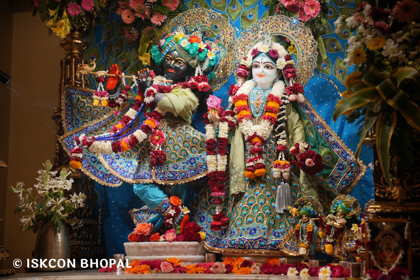 WhatsApp Image 2026-02-08 at 8.12.22 AM