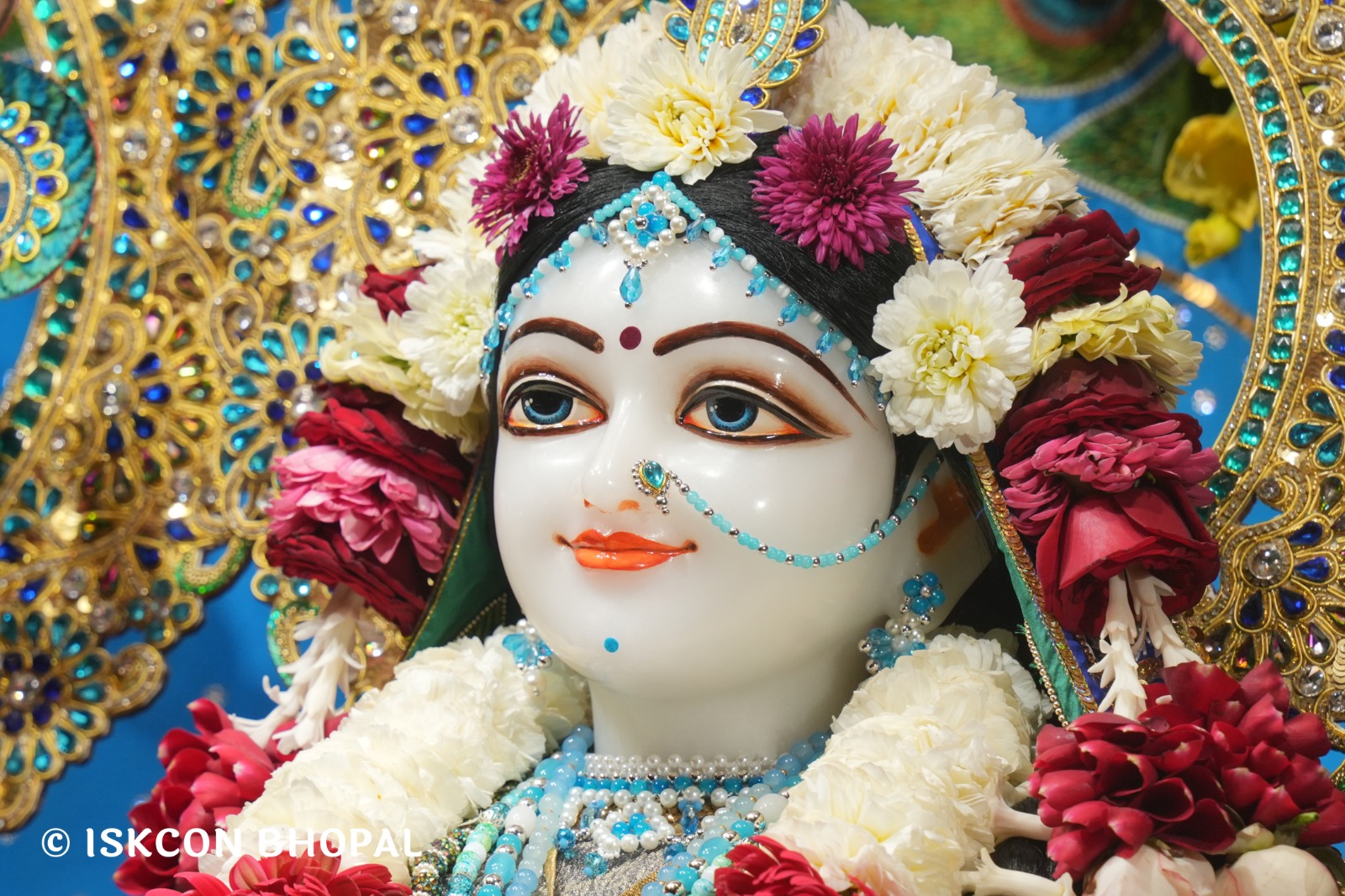 WhatsApp Image 2026-02-08 at 8.12.23 AM (1)