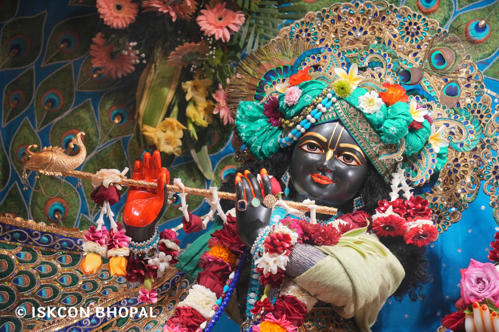 WhatsApp Image 2026-02-08 at 8.12.23 AM (2)