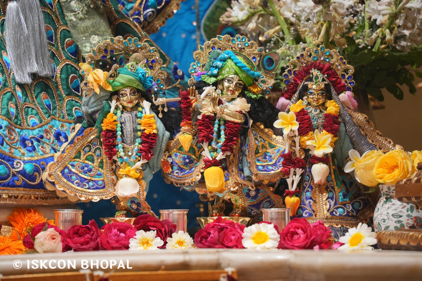 WhatsApp Image 2026-02-08 at 8.12.23 AM (4)