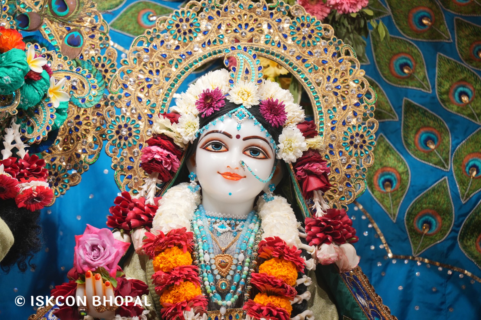 WhatsApp Image 2026-02-08 at 8.12.23 AM (5)