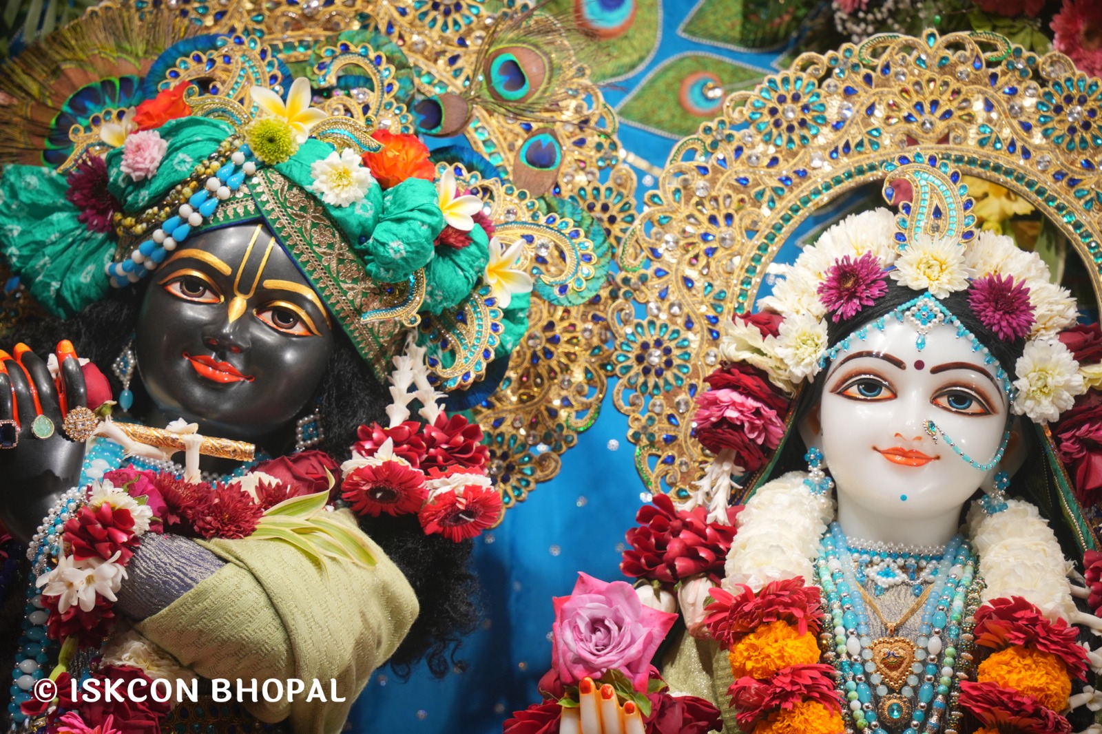 WhatsApp Image 2026-02-08 at 8.12.23 AM