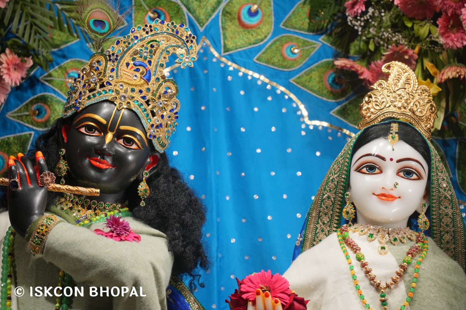 WhatsApp Image 2026-02-09 at 7.04.43 AM (1)