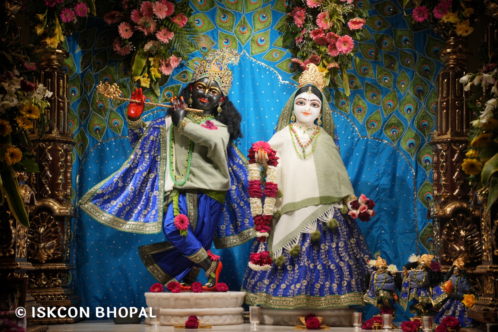 WhatsApp Image 2026-02-09 at 7.04.43 AM