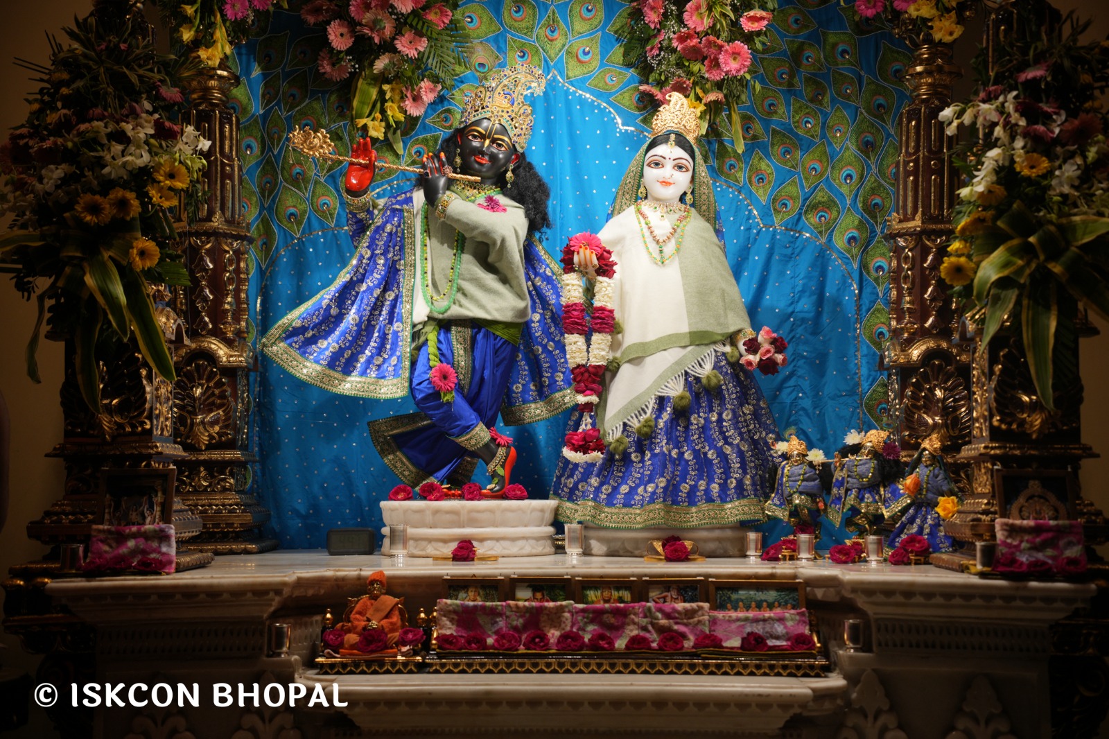 WhatsApp Image 2026-02-09 at 7.04.44 AM (1)