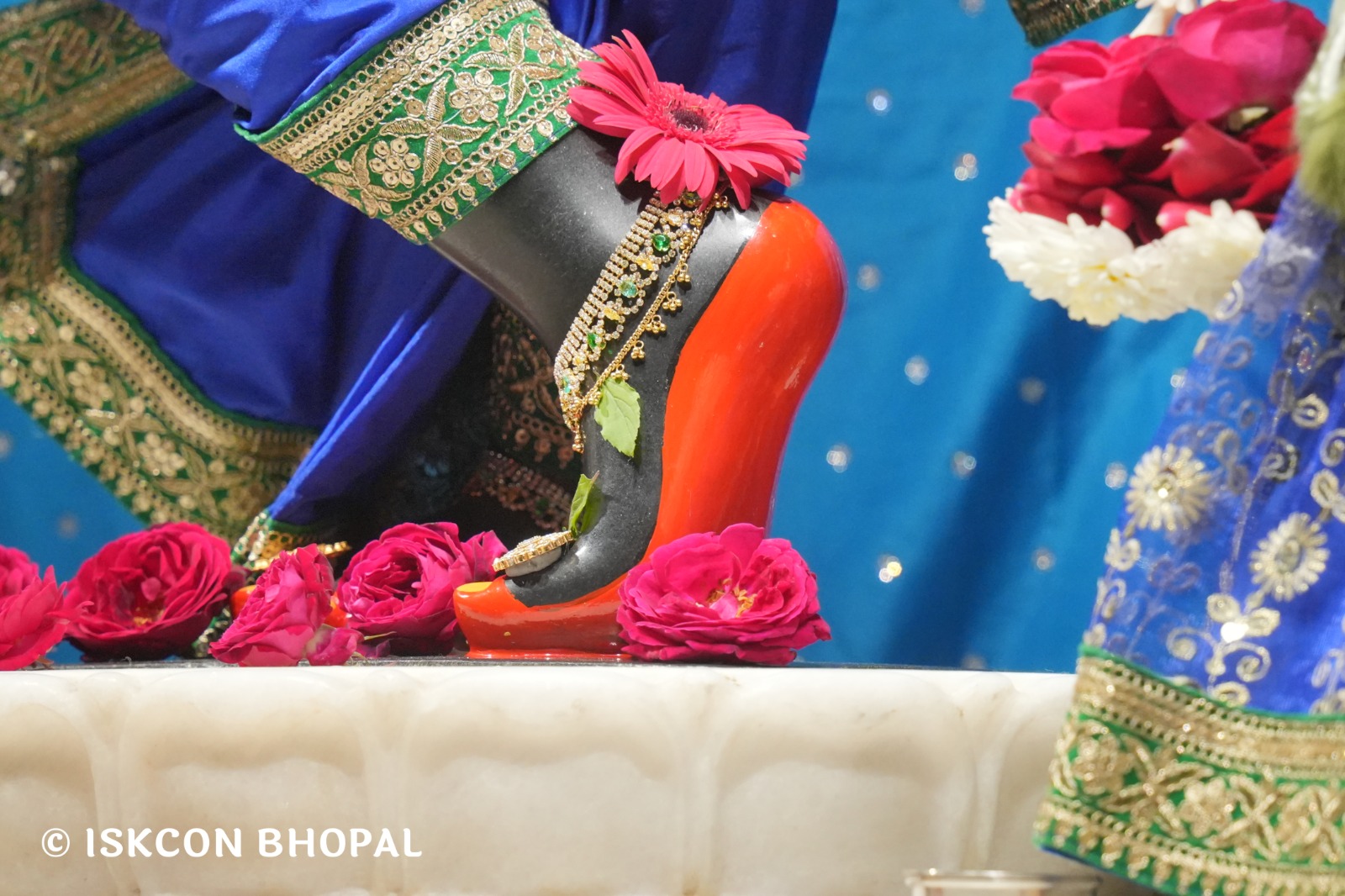 WhatsApp Image 2026-02-09 at 7.04.44 AM