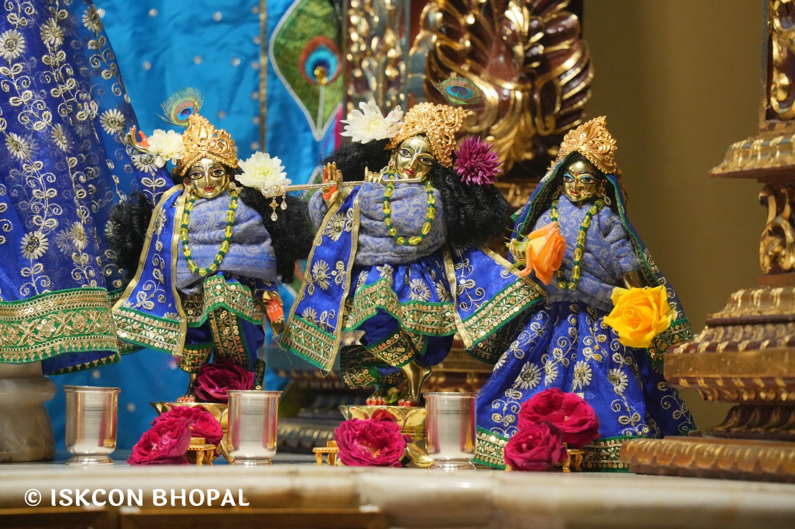 WhatsApp Image 2026-02-09 at 7.04.45 AM (3)