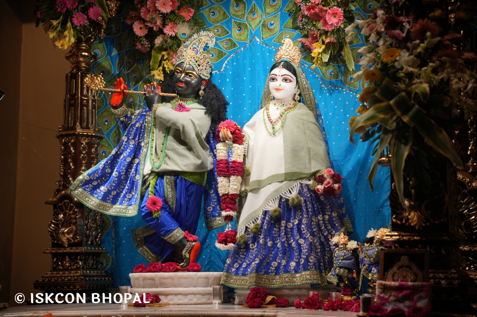 WhatsApp Image 2026-02-09 at 7.04.45 AM