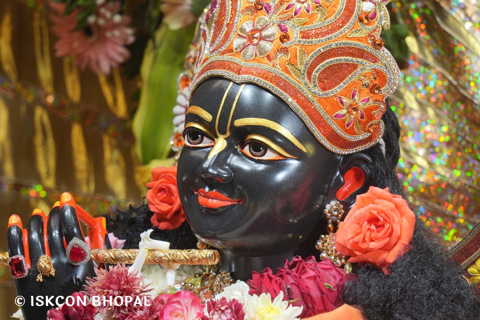 WhatsApp Image 2026-02-09 at 7.56.11 AM (1)