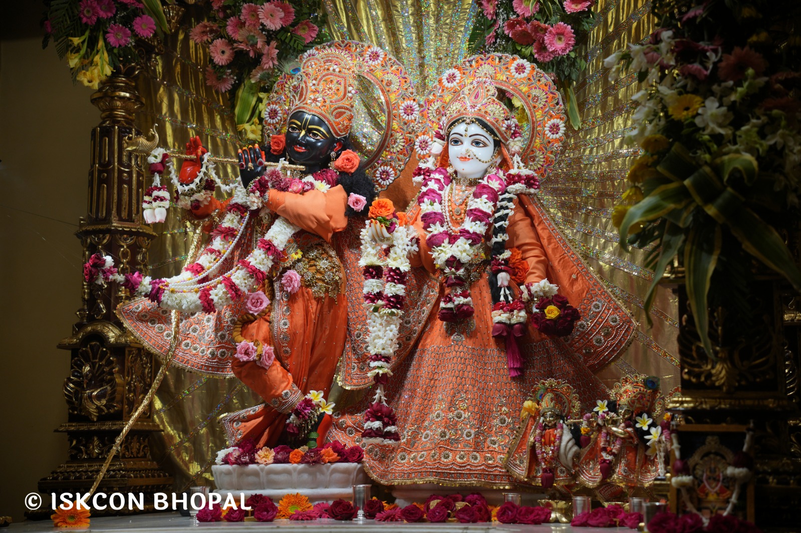 WhatsApp Image 2026-02-09 at 7.56.11 AM (2)