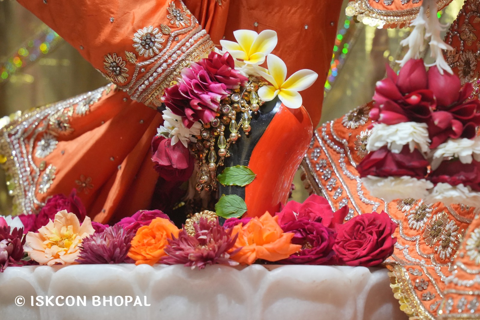 WhatsApp Image 2026-02-09 at 7.56.11 AM