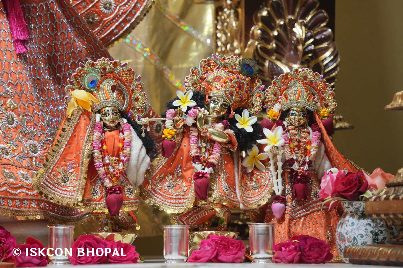 WhatsApp Image 2026-02-09 at 7.56.13 AM