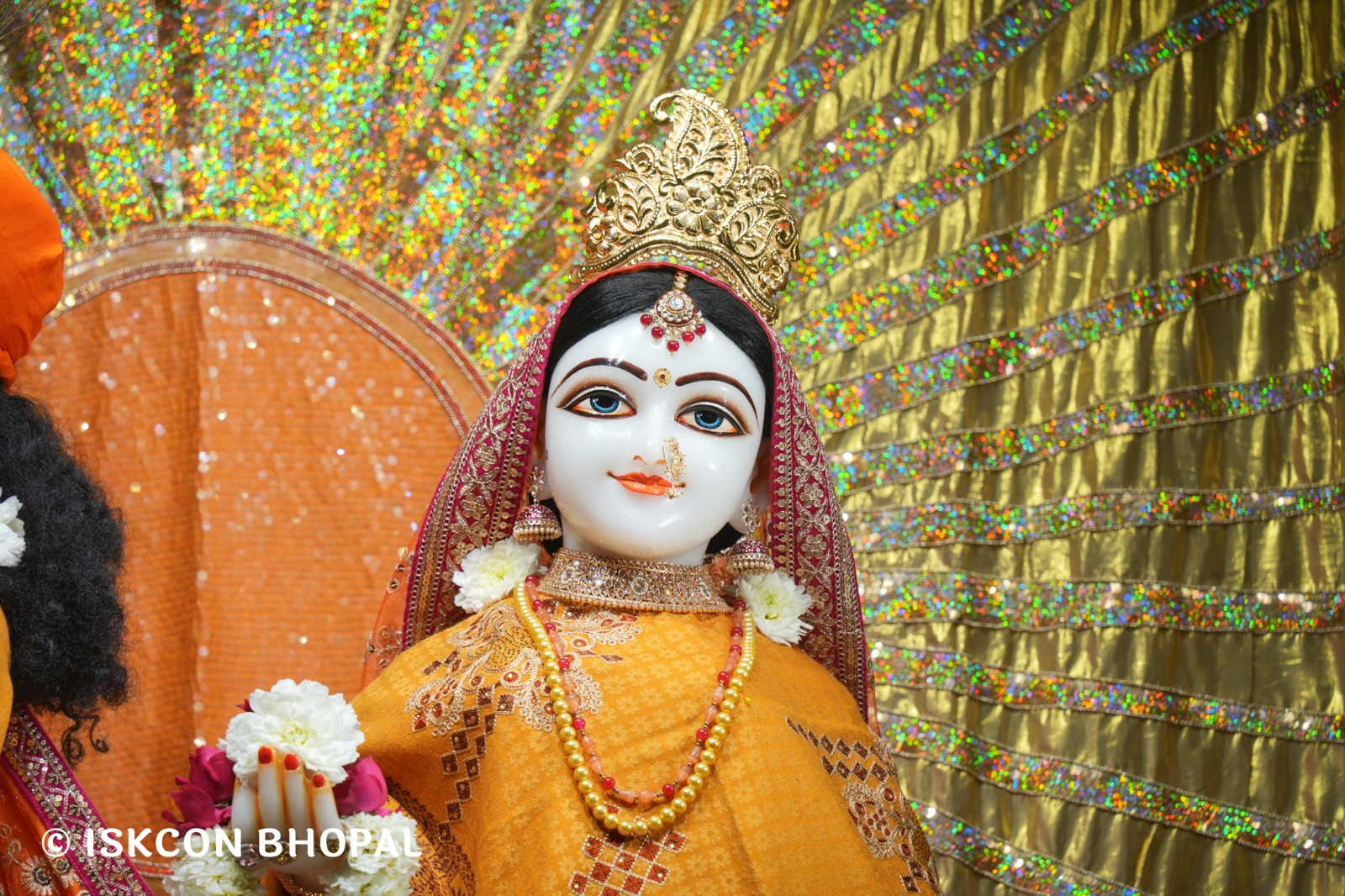 WhatsApp Image 2026-02-10 at 7.45.06 AM (1)