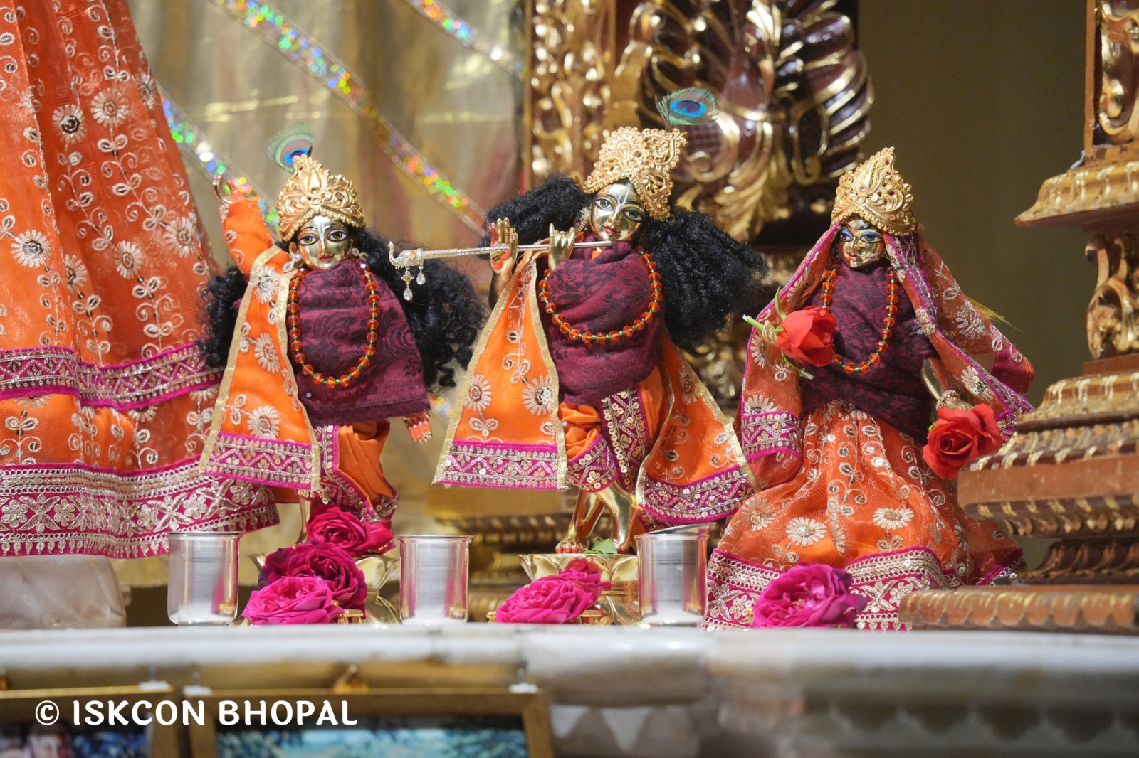 WhatsApp Image 2026-02-10 at 7.45.06 AM (2)