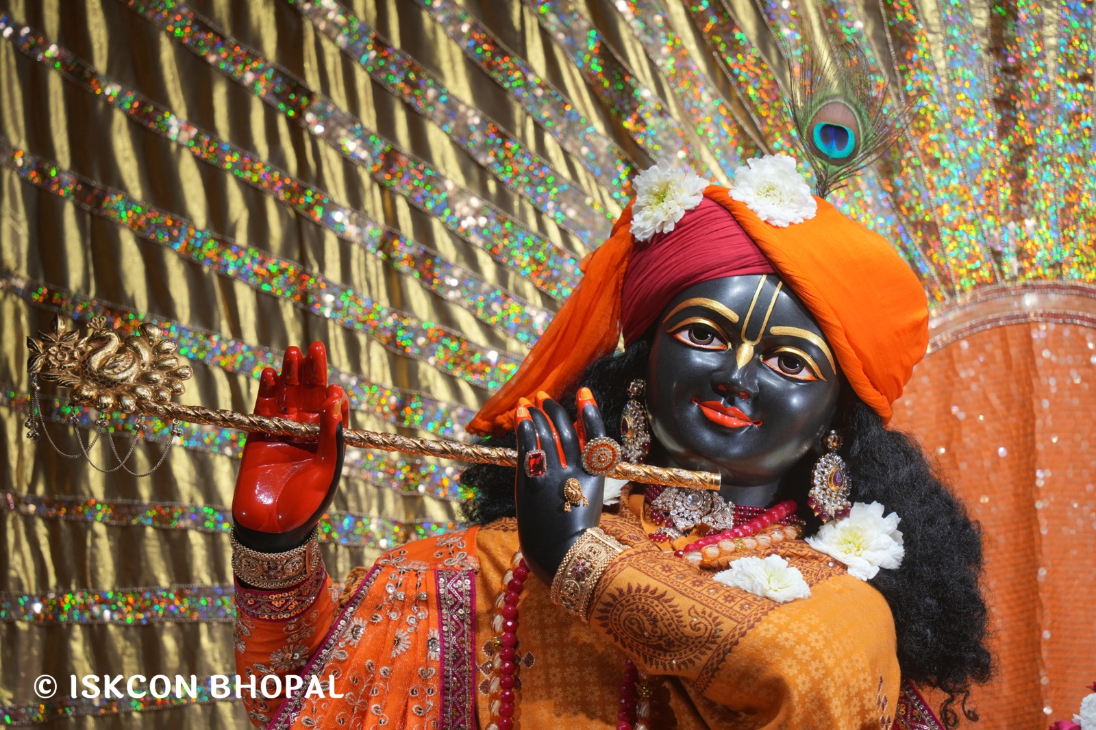 WhatsApp Image 2026-02-10 at 7.45.06 AM