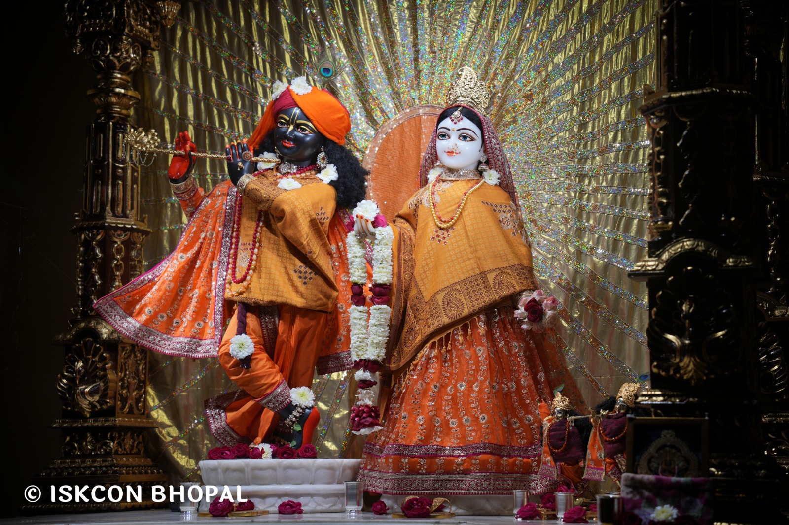 WhatsApp Image 2026-02-10 at 7.45.08 AM (1)