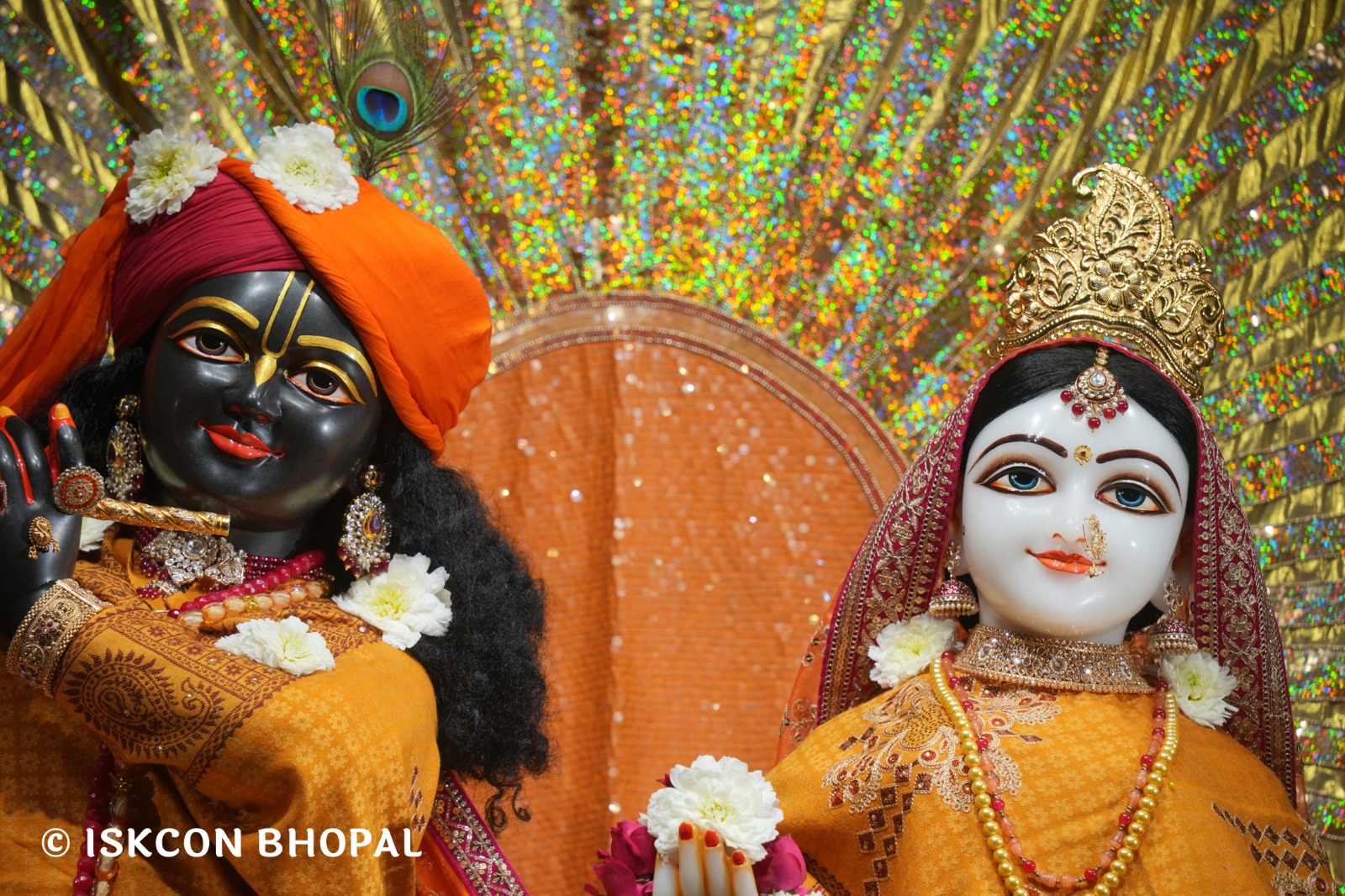 WhatsApp Image 2026-02-10 at 7.45.08 AM (3)