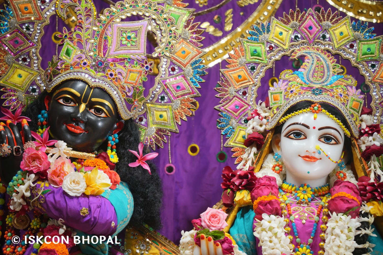 WhatsApp Image 2026-02-10 at 7.47.06 AM (3)