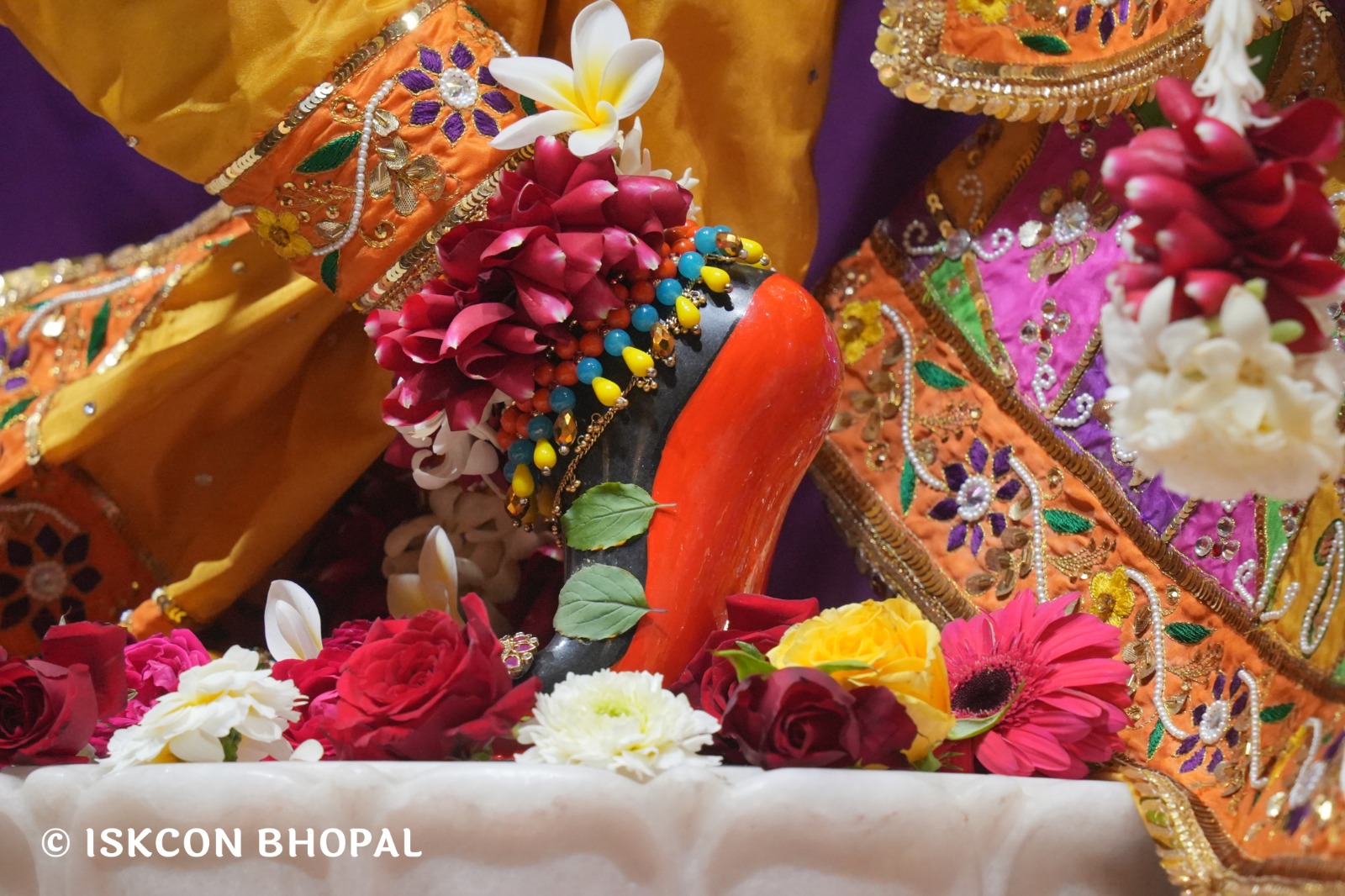 WhatsApp Image 2026-02-10 at 7.47.07 AM (3)