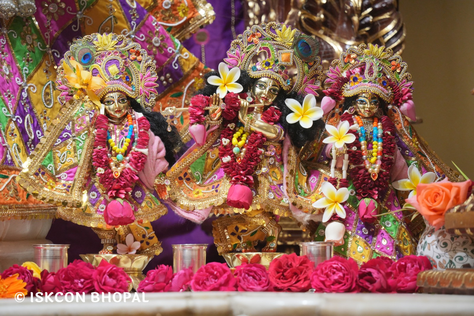 WhatsApp Image 2026-02-10 at 7.47.08 AM