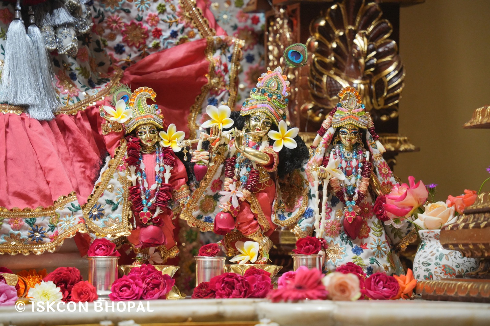 WhatsApp Image 2026-02-11 at 4.22.23 PM