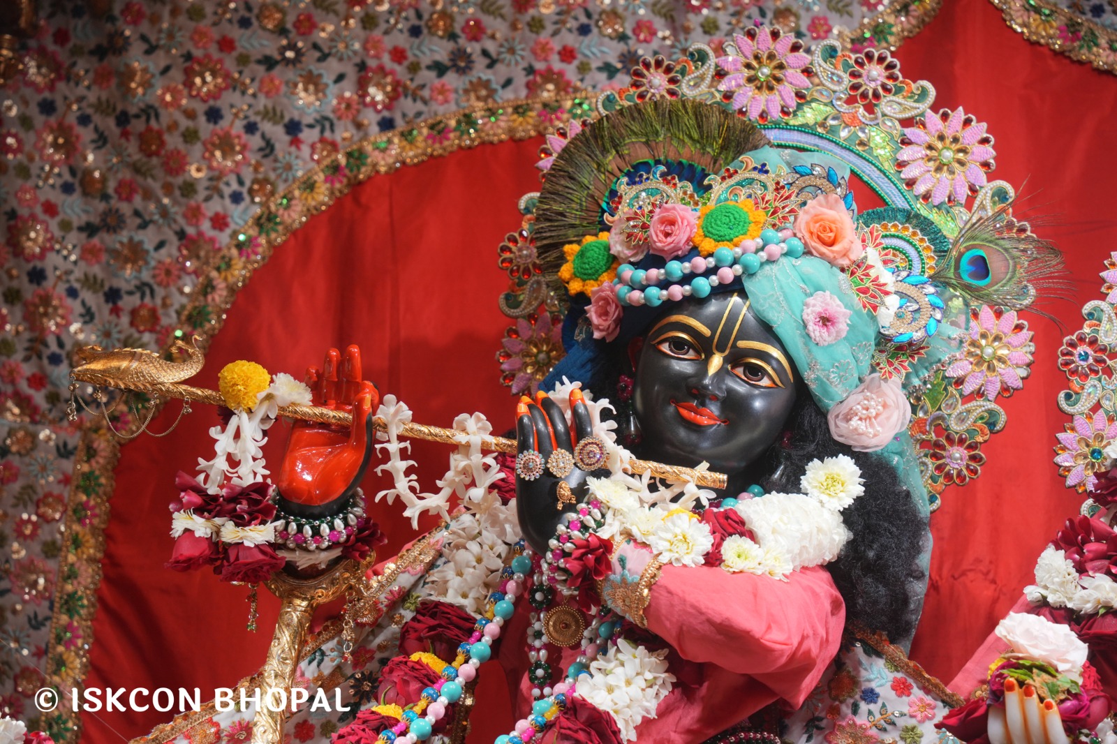 WhatsApp Image 2026-02-11 at 4.22.24 PM (1)