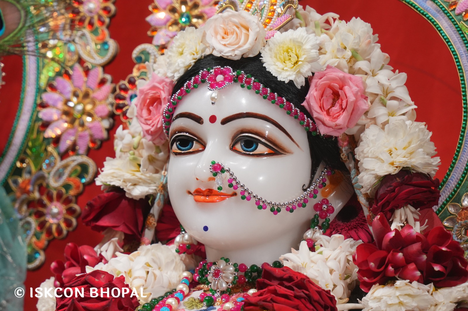 WhatsApp Image 2026-02-11 at 4.22.24 PM (2)