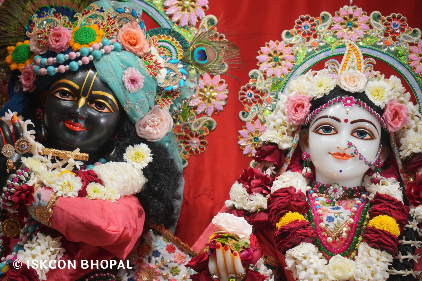 WhatsApp Image 2026-02-11 at 4.22.24 PM