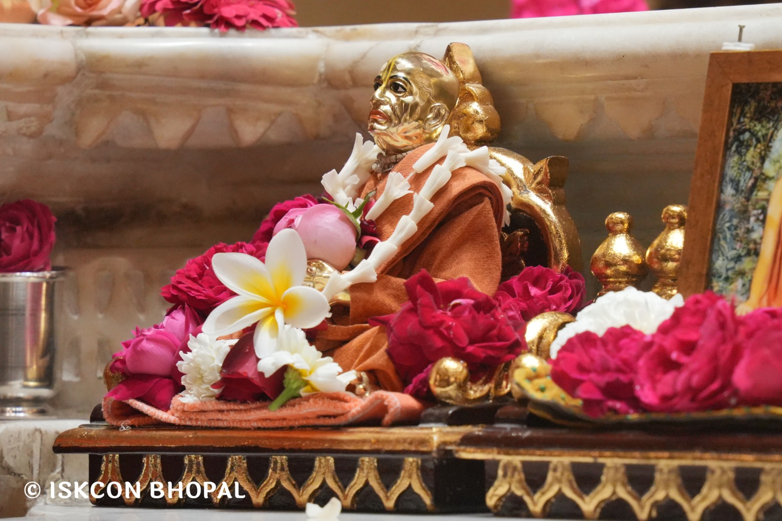 WhatsApp Image 2026-02-11 at 4.22.25 PM (1)