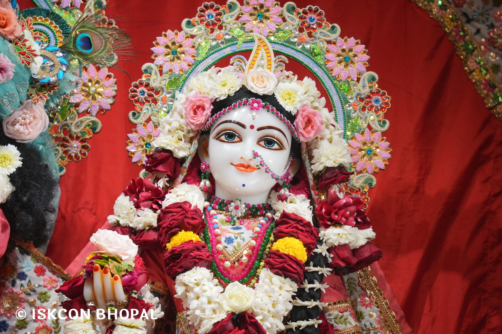 WhatsApp Image 2026-02-11 at 4.22.25 PM