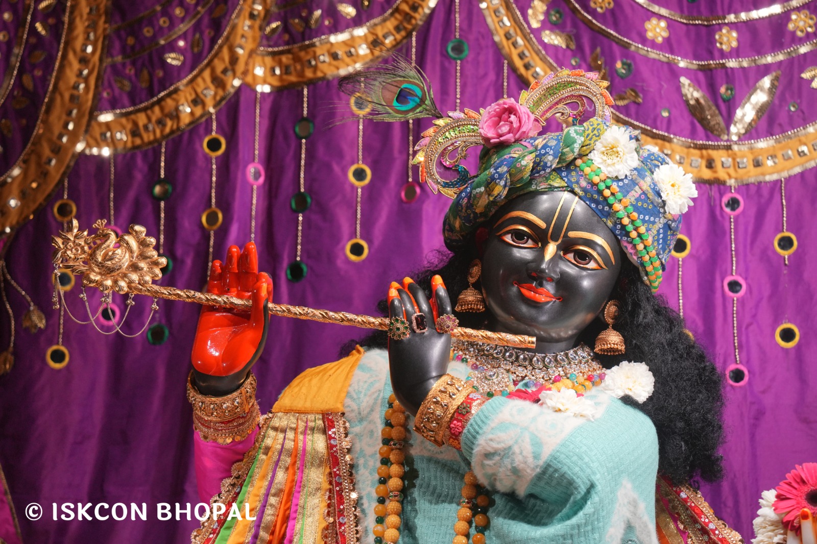 WhatsApp Image 2026-02-11 at 8.08.08 AM (1)